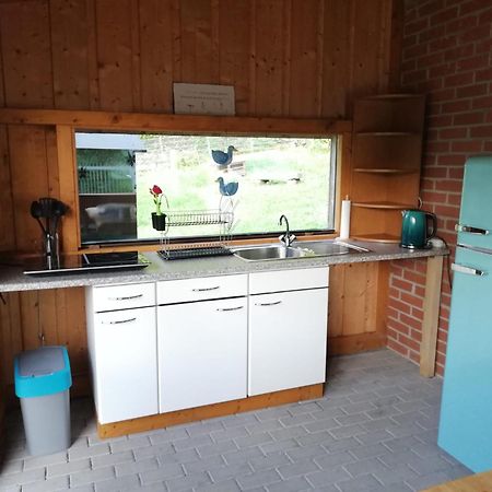 Ferienwohnung Und Sommerhaus Unter Der Burg Falkenberg  Buitenkant foto